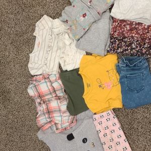 Collection - 24 months